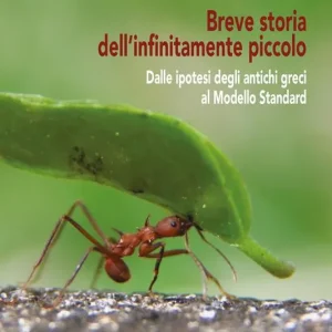 Acquista Ora Breve storia dell‘infinitamente piccolo. Vol. 1 Dalle ipotesi degli antichi greci al modello standard