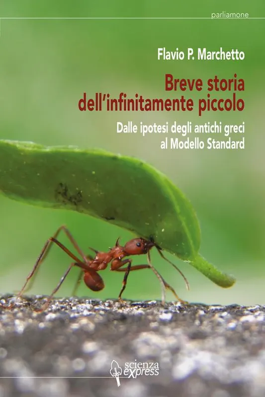 Acquista Ora Breve storia dell‘infinitamente piccolo. Vol. 1 Dalle ipotesi degli antichi greci al modello standard