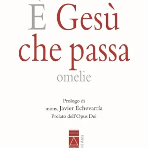 È Gesù che passa. Omelie Non Perdere