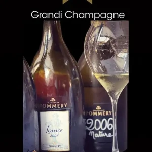 Grandi Champagne 2022-2023. Guida alle migliori bollicine francesi in Italia Promozione Esclusiva