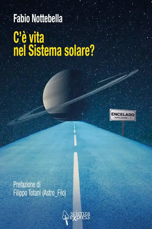 Professionale C‘è vita nel sistema solare?