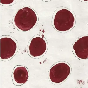 Il sangue delle donne. Tracce di rosso sul panno bianco-The blood of women. Traces of red on white cloth. Ediz. italiana e inglese Sconto