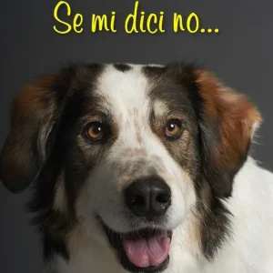 Se mi dici no... Soddisfatti O Rimborsati