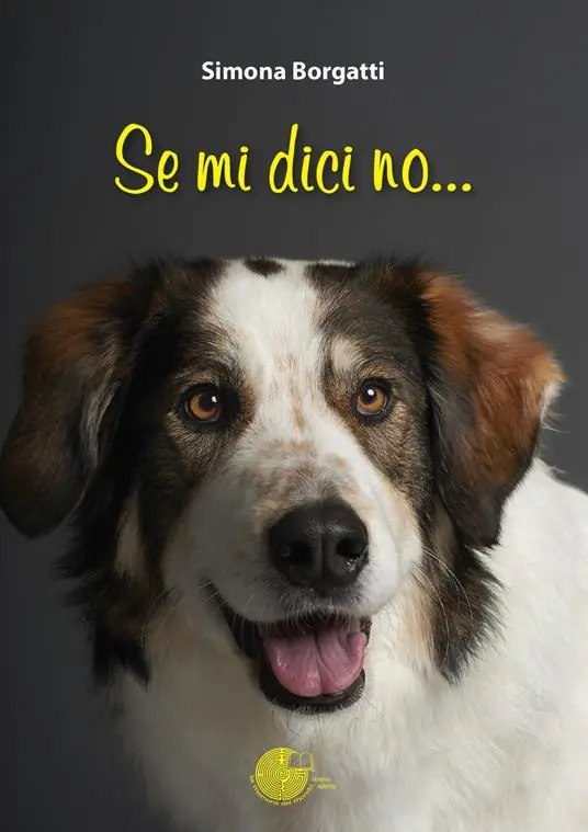 Se mi dici no... Soddisfatti O Rimborsati