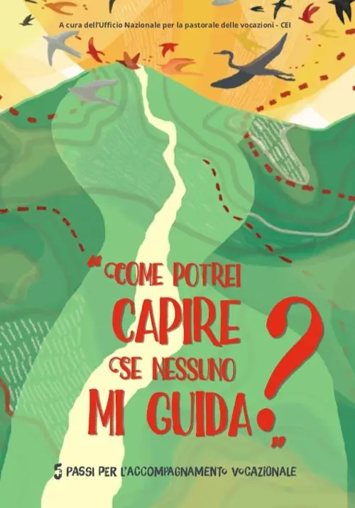 Nuova Collezione «Come potrei capire se nessuno mi guida?» 5 passi per l‘accompagnamento vocazionale. Con Contenuto digitale per accesso online