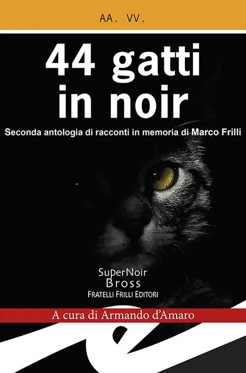 Subito Disponibile 44 gatti in noir