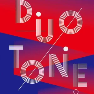 Professionale Duotone. Limited colour schemes in graphic design. Ediz. a colori