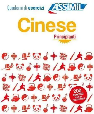 Cinese. Quaderno di esercizi. Principianti Occasione