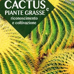Di Tendenza Cactus e piante grasse. Riconoscimento e coltivazione