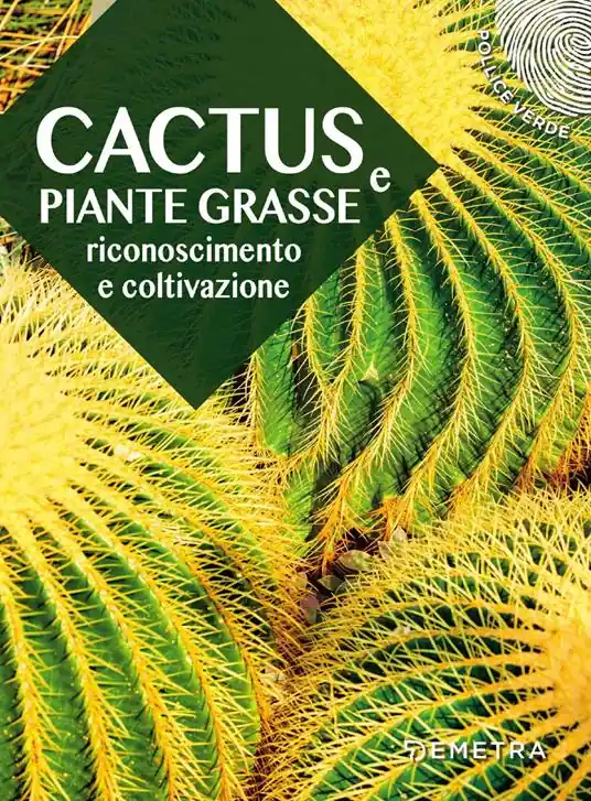 Di Tendenza Cactus e piante grasse. Riconoscimento e coltivazione