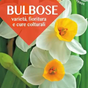 Saldi Bulbose. Varietà, fioritura e cure colturali
