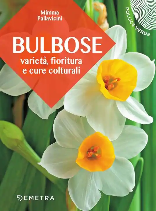 Saldi Bulbose. Varietà, fioritura e cure colturali