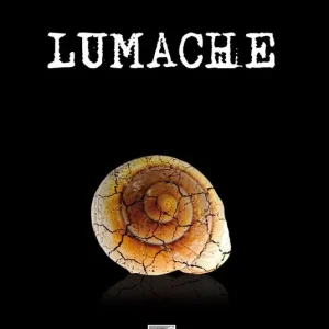 Lumache A Buon Prezzo