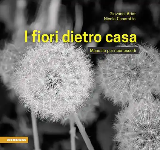I fiori dietro casa. Manuale per riconoscerli. Ediz. illustrata Offerta