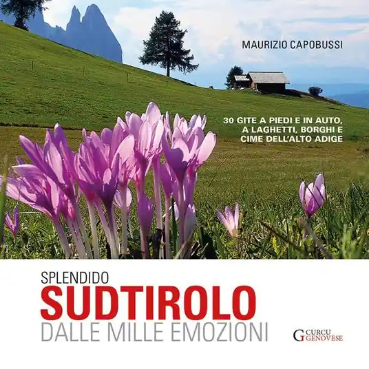 Splendido Sudtirolo dalle mille emozioni. 30 gite a piedi e in auto, a laghetti, borghi e cime dell‘Alto Adige Super Prezzo