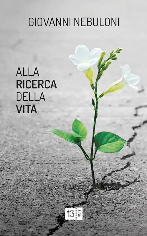 Alla ricerca della vita Vendita Finale