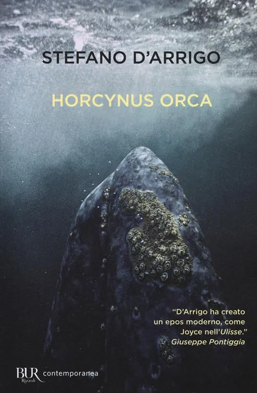 Saldi Horcynus Orca