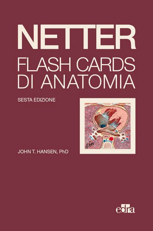 Popolare Netter Flash cards di anatomia