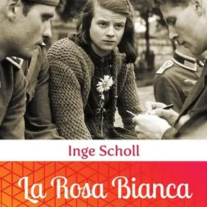 Super Prezzo La Rosa Bianca