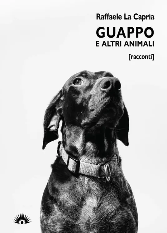 Miglior Prezzo Guappo e altri animali