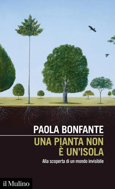 Una pianta non è un‘isola. Alla scoperta di un mondo invisibile Offerta Del Giorno