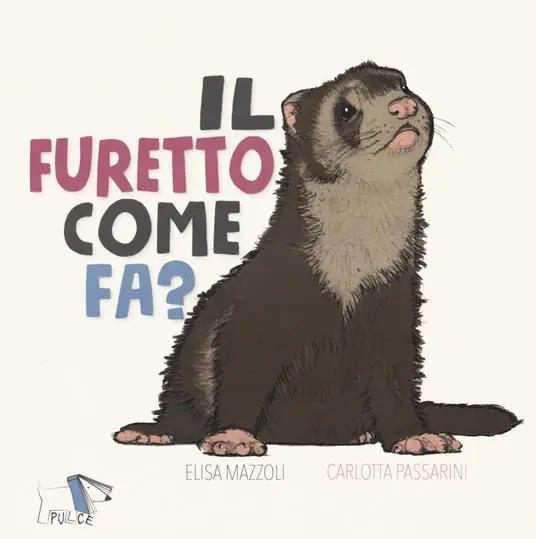Vendita Finale Il furetto come fa? Ediz. a colori