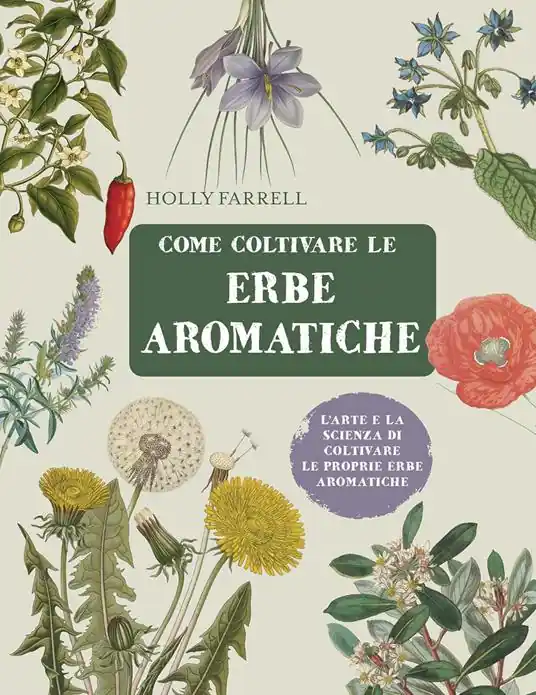 A Buon Prezzo Come coltivare le erbe aromatiche. L‘arte e la scienza di coltivare le proprie erbe aromatiche