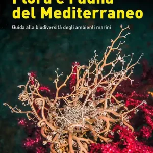 Bestseller Atlante di flora e fauna del Mediterraneo. Guida alla biodiversità degli ambienti marini. Ediz. a colori