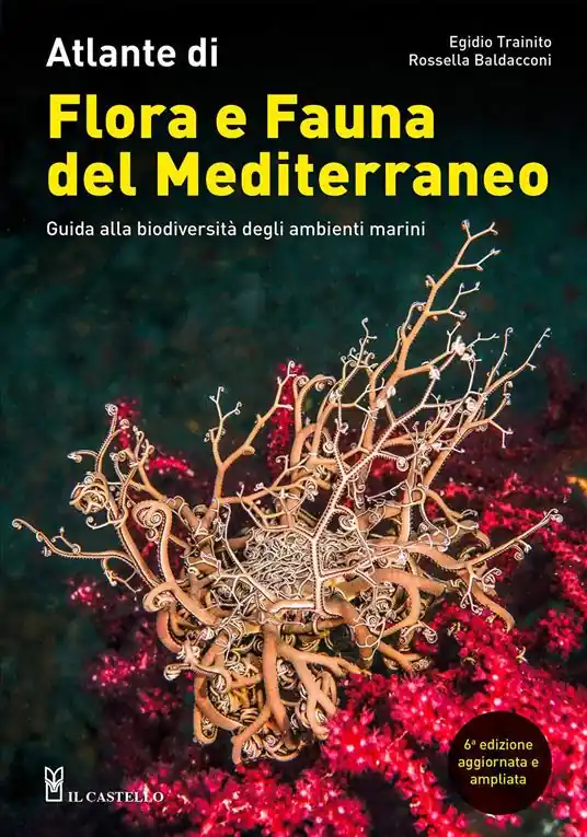 Bestseller Atlante di flora e fauna del Mediterraneo. Guida alla biodiversità degli ambienti marini. Ediz. a colori