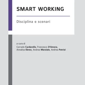 Smart working. Disciplina e scenari Offerta
