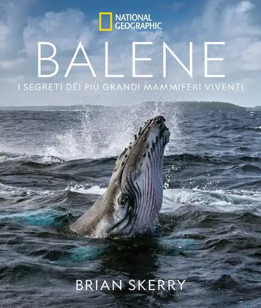 Balene. I segreti dei più grandi mammiferi viventi. Ediz. a colori Solo Oggi