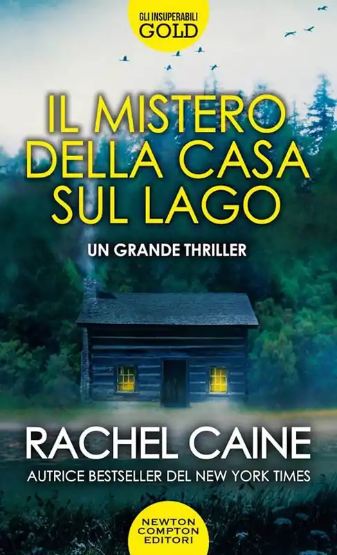Il mistero della casa sul lago Occasione