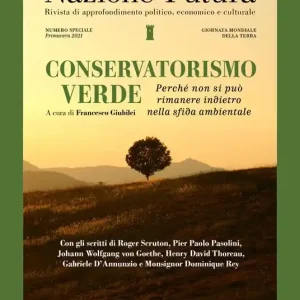 Nazione futura. Rivista di approfondimento politico, economico e culturale. Numero speciale Primavera 2021 Conservatorismo verde. Perché non si può rimanere indietro nella sfida ambientale Acquista Ora