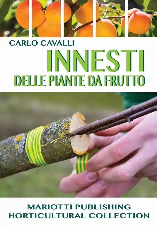 Soddisfatti O Rimborsati Innesti delle piante da frutto
