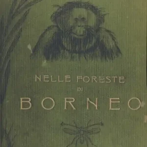 Nelle foreste di Borneo. Ediz. integrale Più Venduto