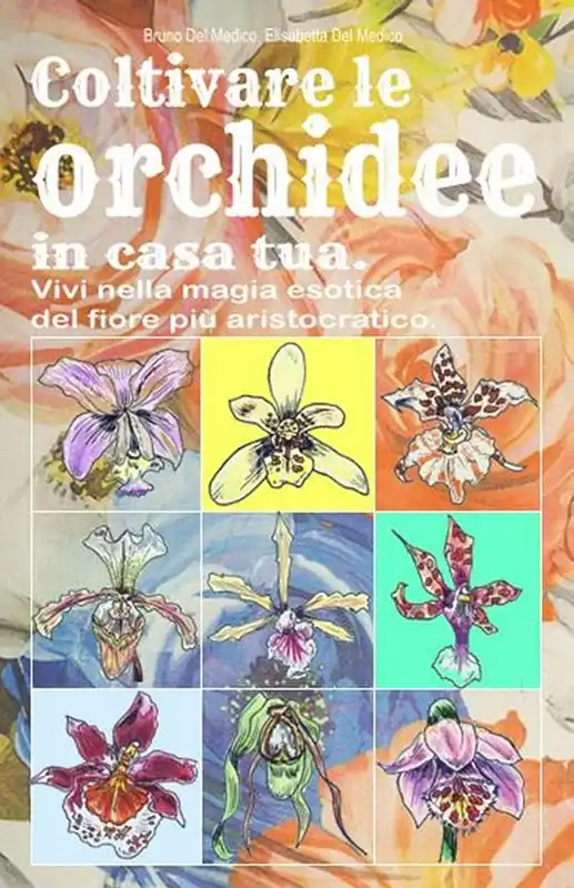 Prezzo Ridotto Coltivare le orchidee in casa tua. Vivi nella magia esotica del fiore più aristocratico