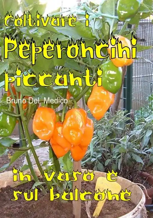Coltivare i peperoncini piccanti in vaso e sul balcone. La collezione cult per chi ama l’orto, il giardino e la buona tavola Offerta Limitata