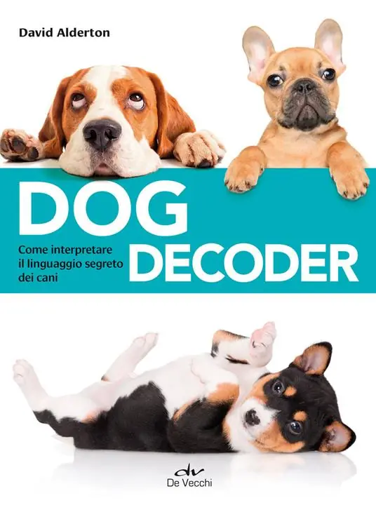 Ultime Pezzi Dog decoder. Come interpretare il linguaggio segreto dei cani
