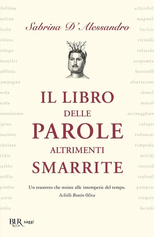 Il libro delle parole altrimenti smarrite Subito Disponibile