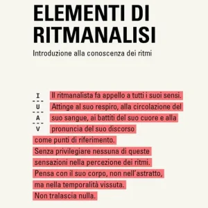 Elementi di ritmanalisi. Introduzione alla conoscenza dei ritmi Affare