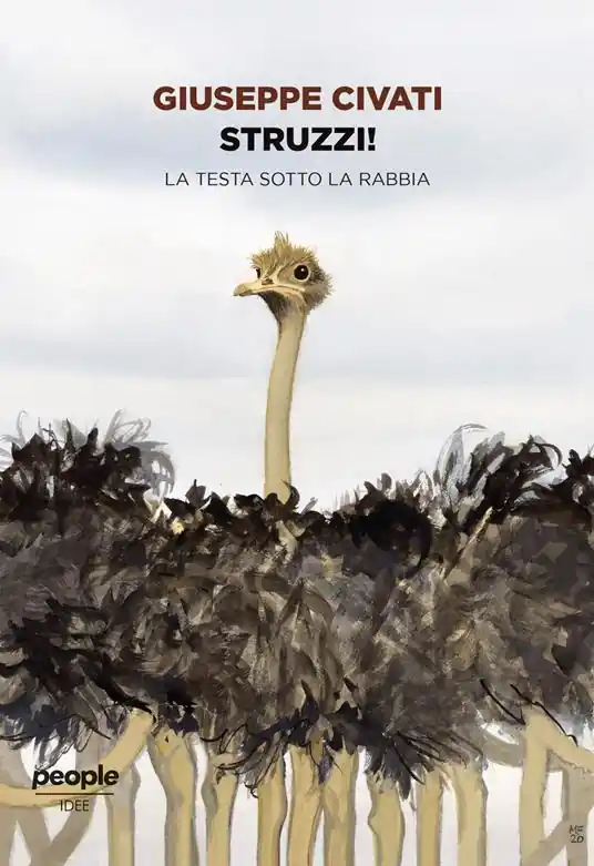 Struzzi! La testa sotto la rabbia Miglior Prezzo