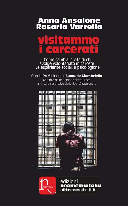 Compra Adesso Visitammo i carcerati. Come cambia la vita di chi svolge volontariato in carcere. Le esperienze sociali e psicologiche