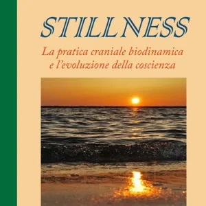 Solo Oggi Stillness. La pratica craniale biodinamica e l‘evoluzione della coscienza