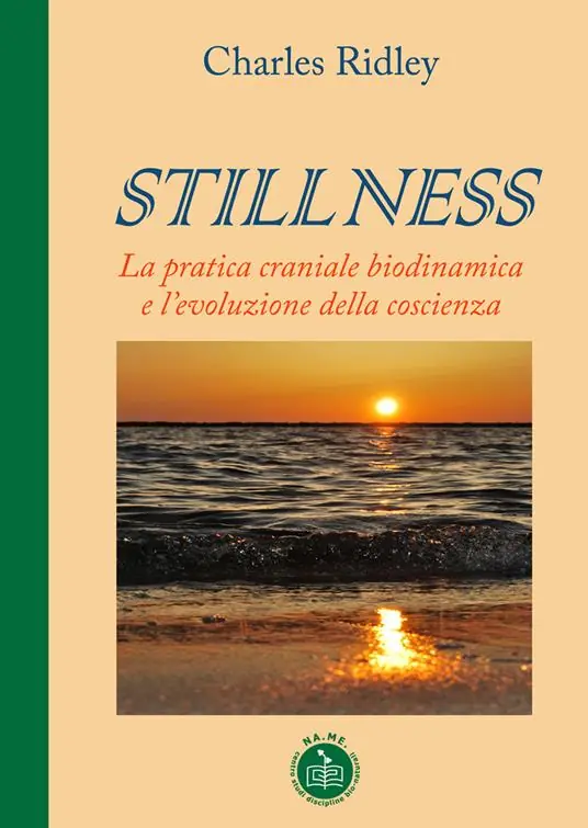 Solo Oggi Stillness. La pratica craniale biodinamica e l‘evoluzione della coscienza