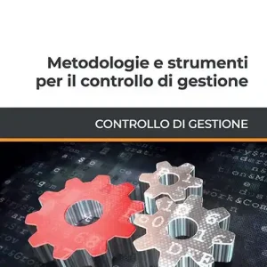 Metodologie e strumenti per il controllo di gestione Scelto Dai Clienti