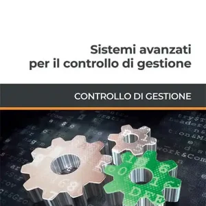 Sistemi avanzati per il controllo di gestione Occasione