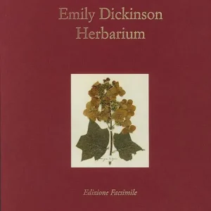 Herbarium. Ediz. speciale Spedito Oggi