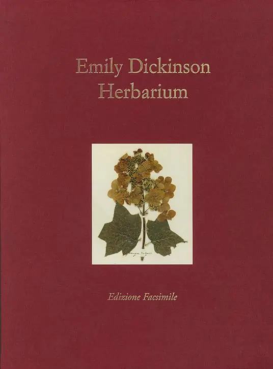 Herbarium. Ediz. speciale Spedito Oggi