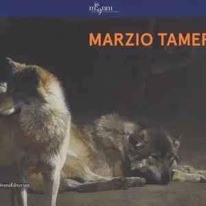 Vendita Finale Marzio Tamer. Ediz. italiana e inglese