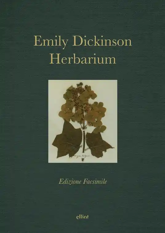 Must-Have Herbarium